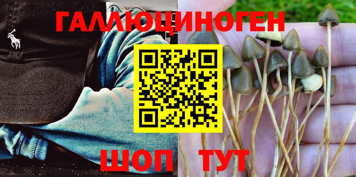 Псилоцибиновые грибы GOLDEN TEACHER Сочи