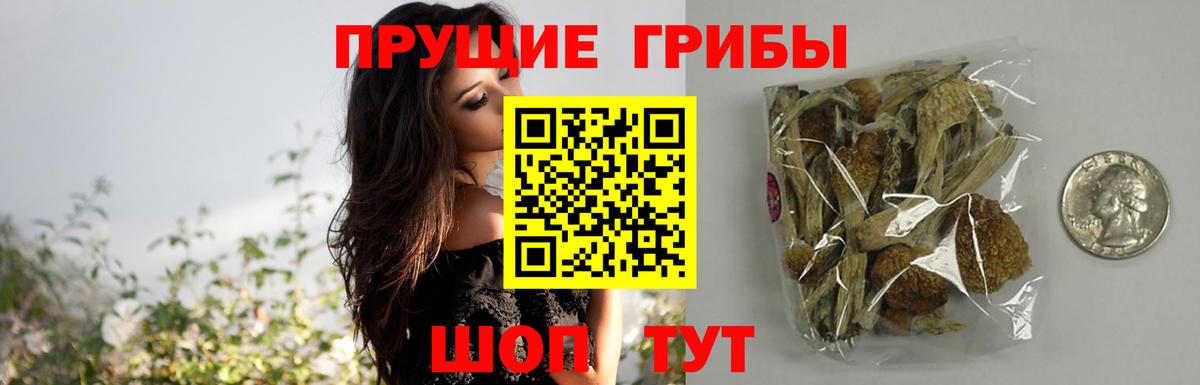 Сочи  Галлюциногенные грибы GOLDEN TEACHER  Вход с VPN  Псилоцибиновые грибы Psilocybe 